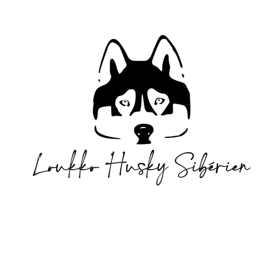 Loukko husky sibérien (hoodie) adulte