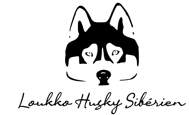 Loukko husky sibérien T-shirt adulte