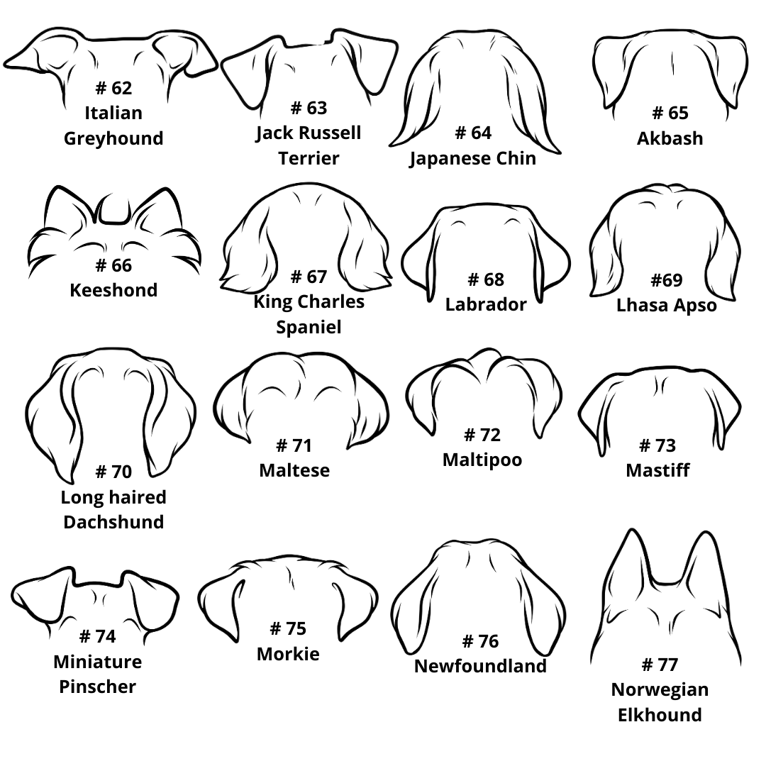 Oreille de chien avec son nom, 122 races