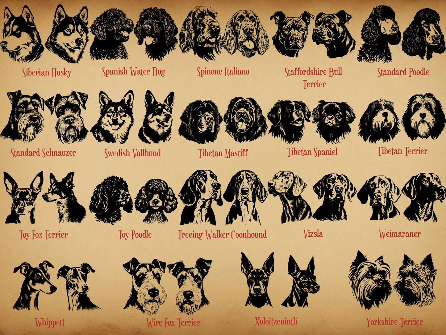 144 de chois de races de chien Cotons Ouatés ( hoodie )