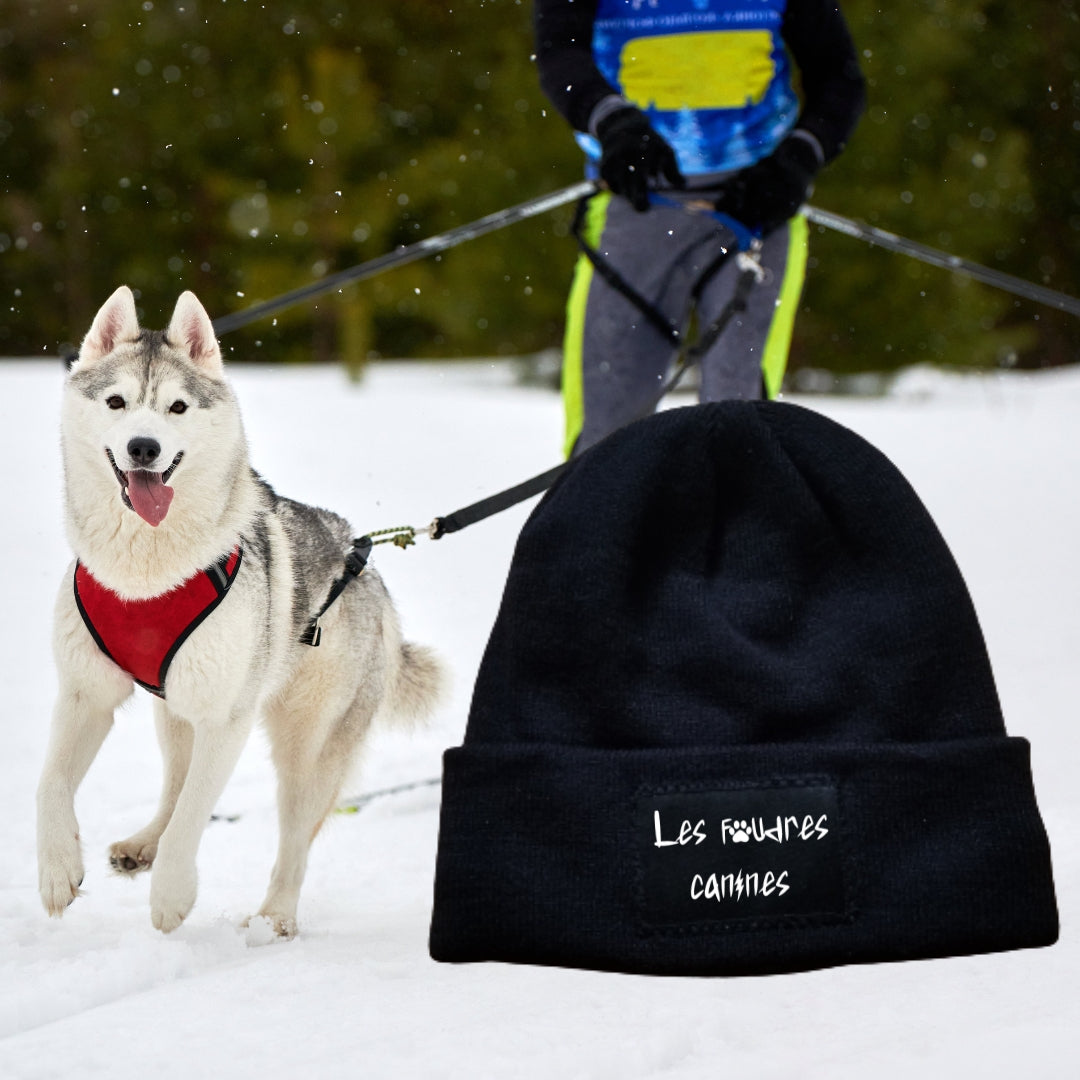 TUQUE (LES FOUDRES CANINES)