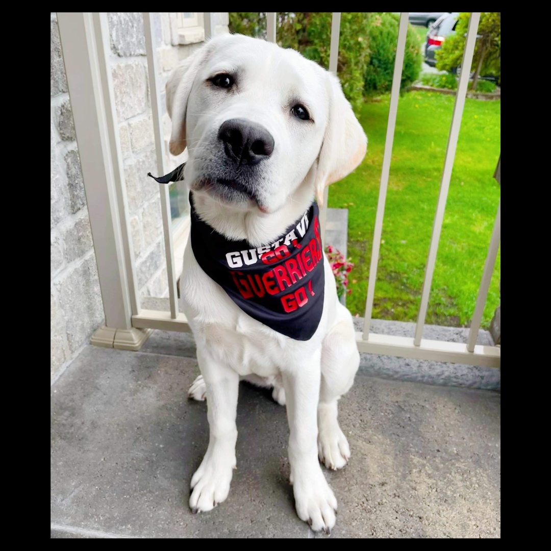 BANDANA à personnaliser