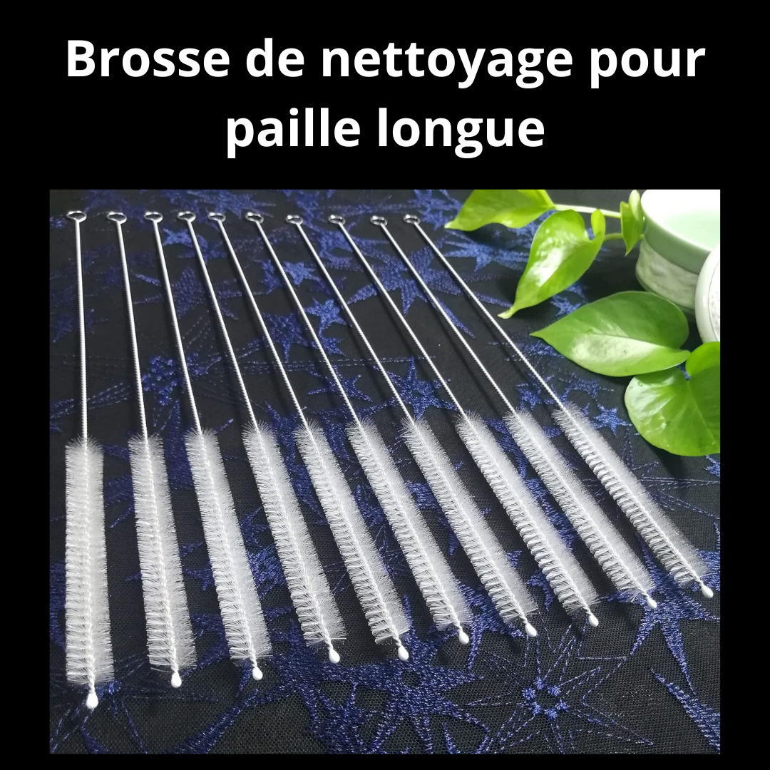 BROSSES DE NETTOYAGE POUR PAILLE LONGUE